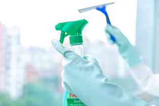 事關(guān)千家萬戶 月嫂 保潔這些家政服務(wù)將有新變化